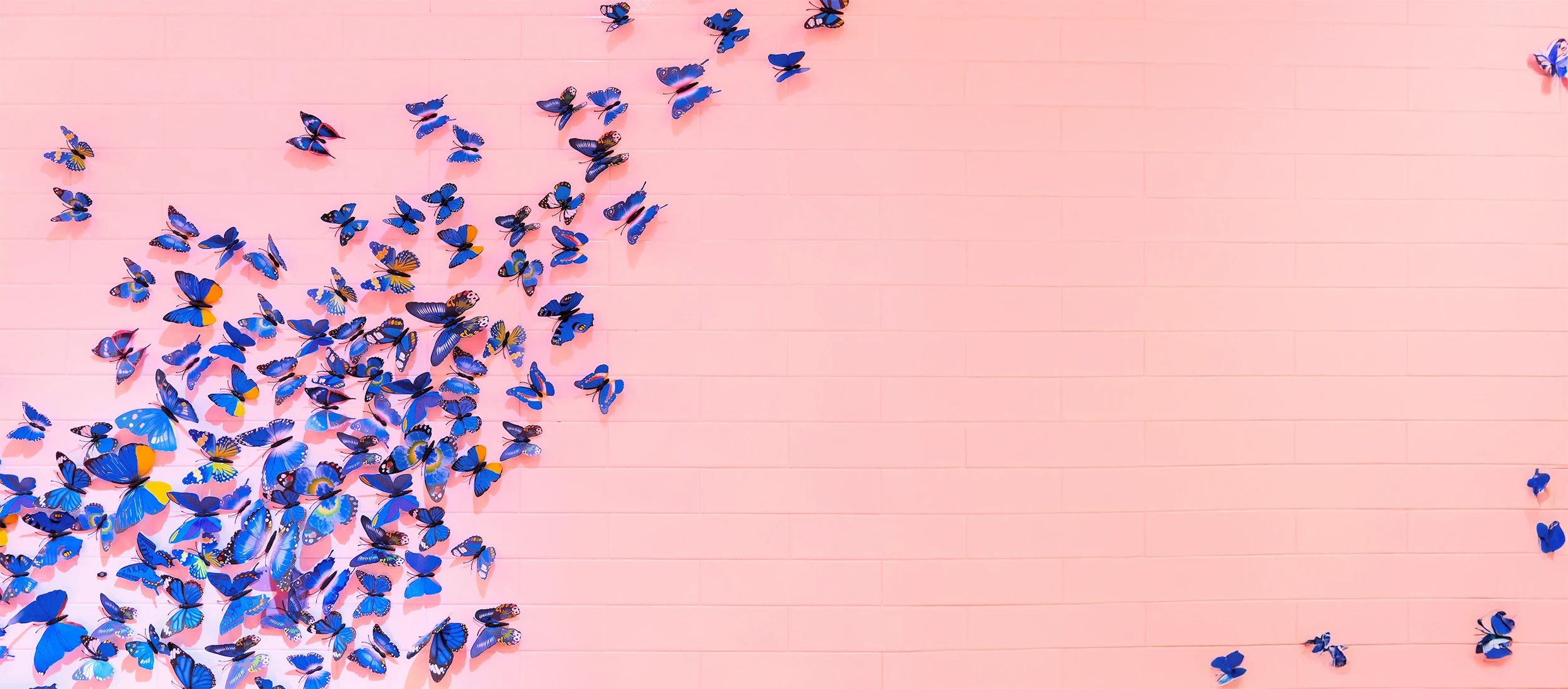 Pubco | Packaging fulfillment and logistics