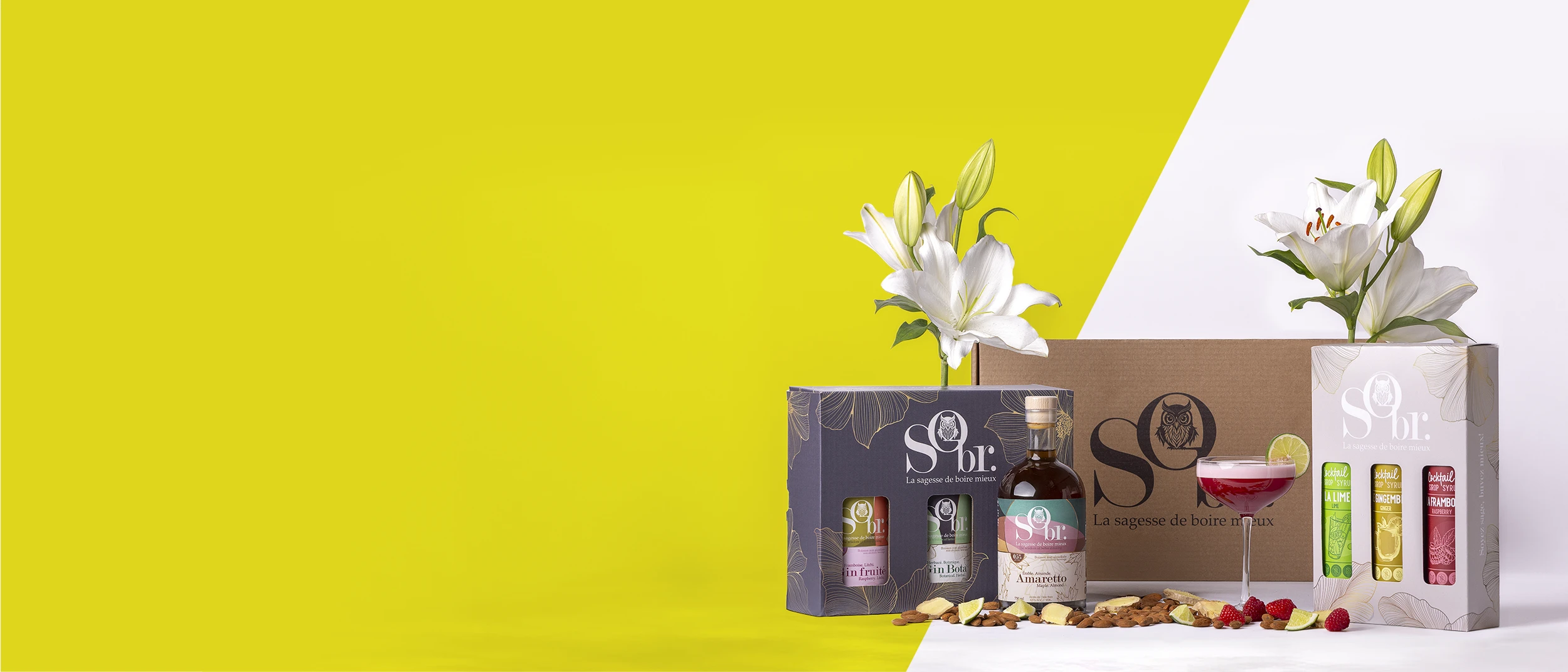 Sobr | Influenceurs | Réalisations | Pubco